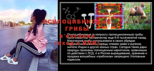 трава Абинск