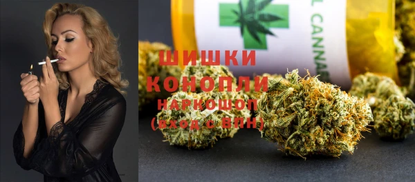PSILOCYBIN Абаза