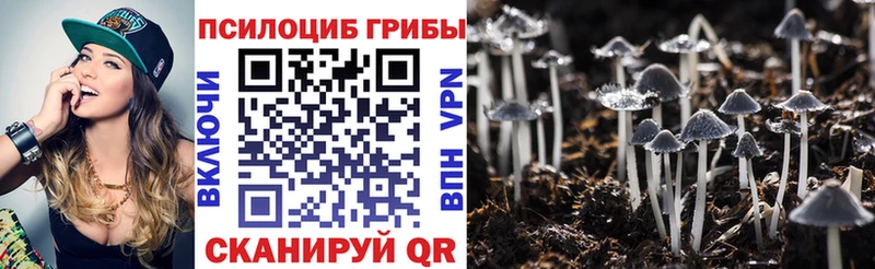 закладка  МЕГА онион  Псилоцибиновые грибы мухоморы  Щёлкино 